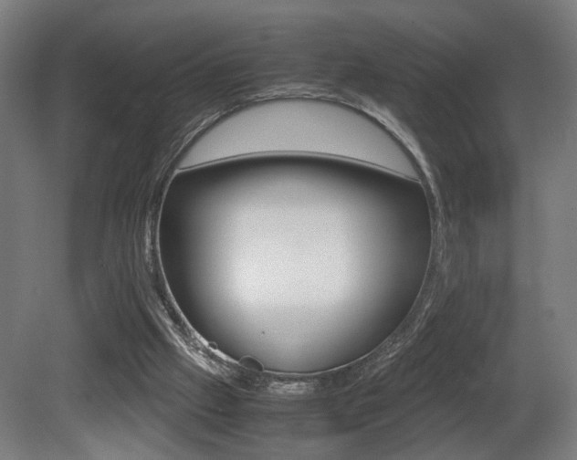 X0000081270057200701110918