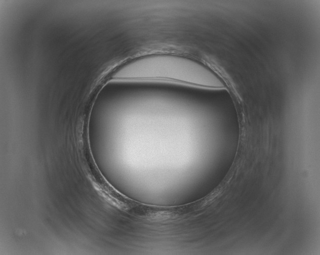 X0000081270058200701110918