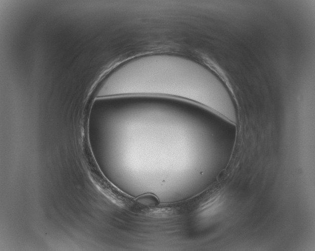 X0000081270059200701110918