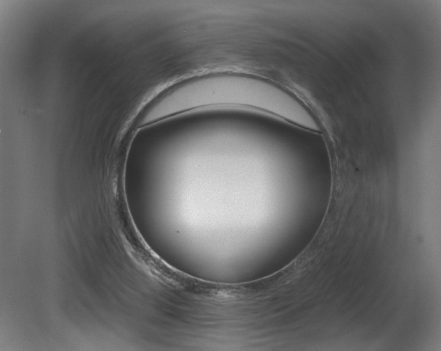X0000081270060200701110918