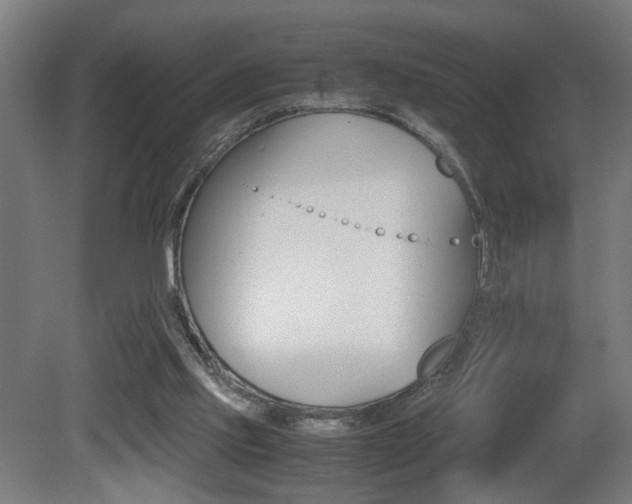 X0000081270061200701110918