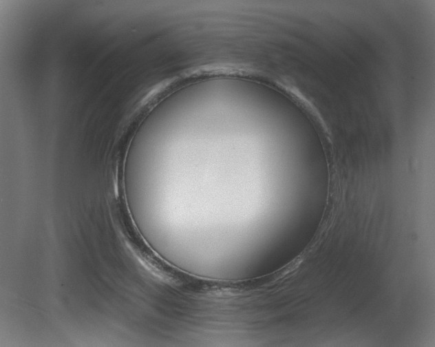 X0000081270062200701110918
