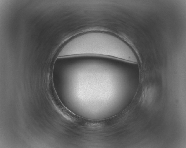 X0000081270063200701110918