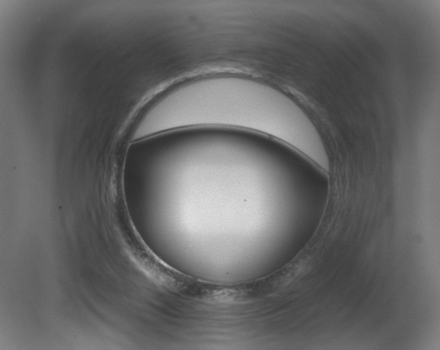 X0000081270064200701110918