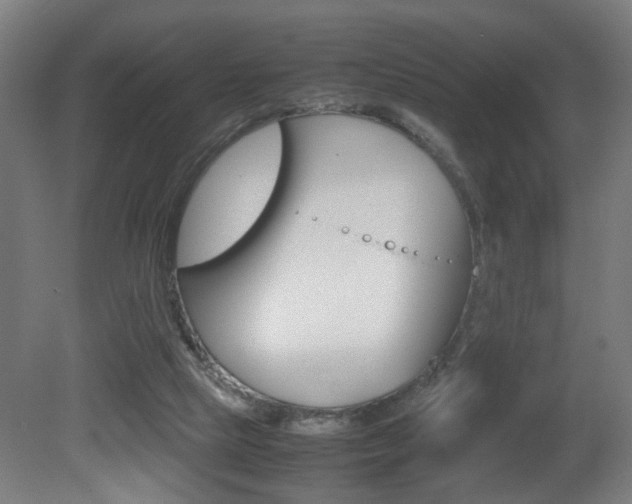X0000081270065200701110918