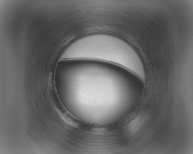 X0000081270066200701110918