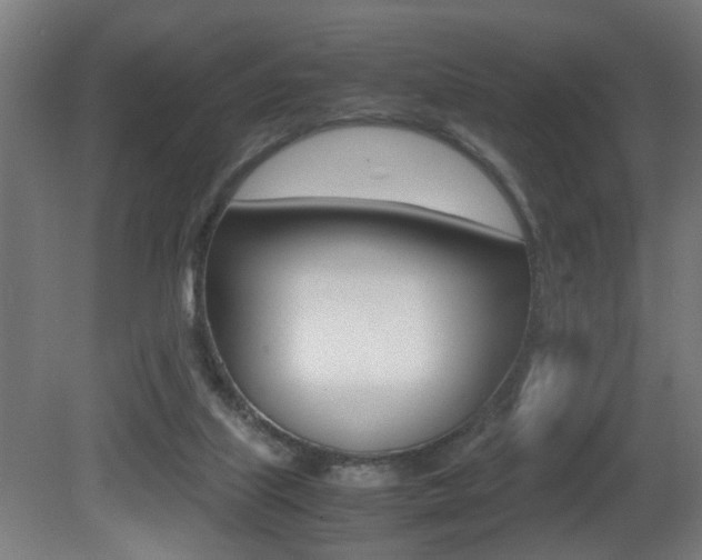 X0000081270067200701110919