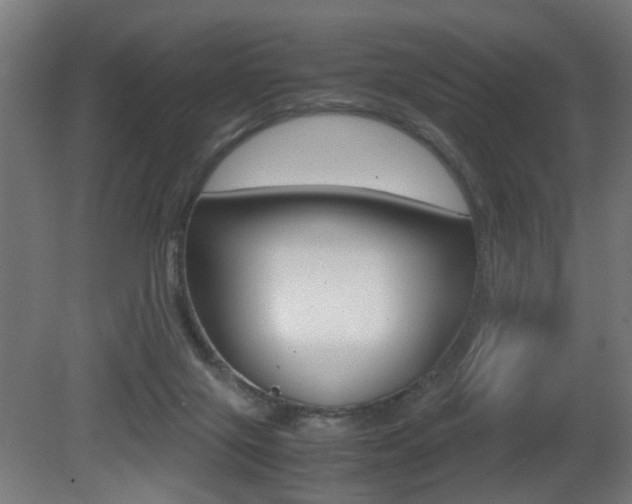 X0000081270071200701110919