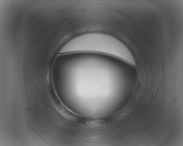 X0000081270072200701110919