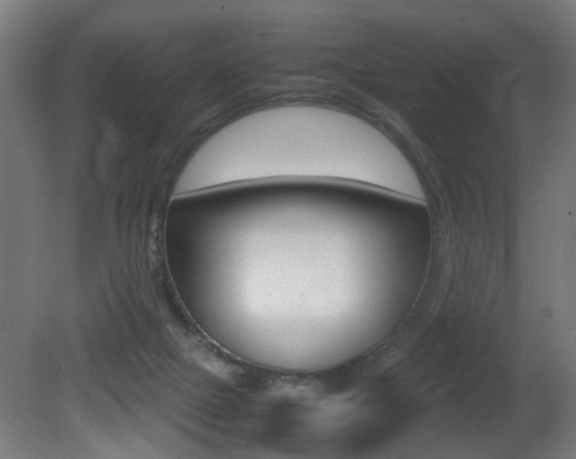 X0000081270073200701110919