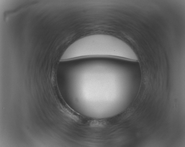 X0000081270077200701110919