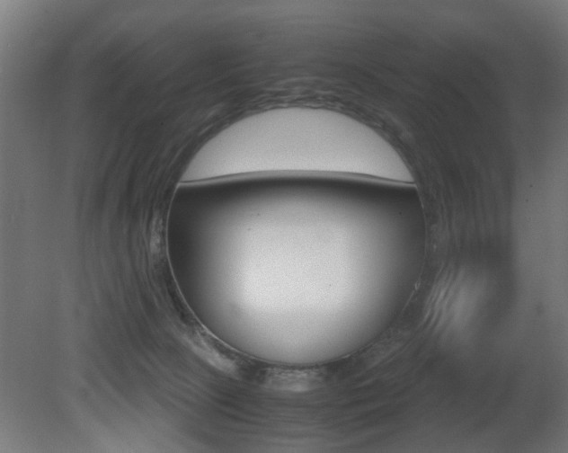 X0000081270081200701110919