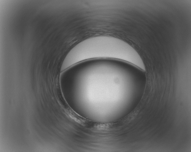 X0000081270084200701110919