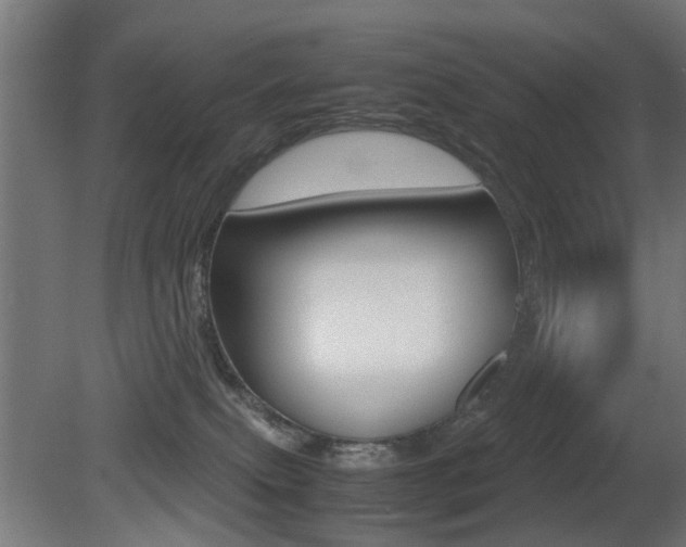 X0000081270087200701110919