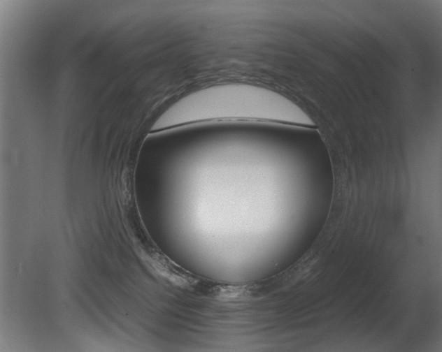 X0000081270088200701110919