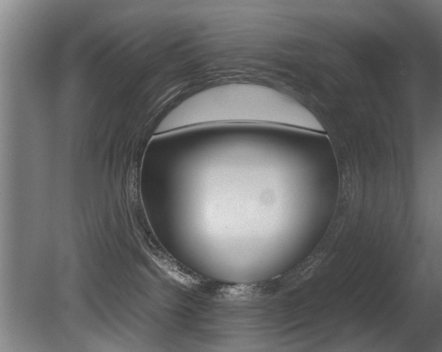 X0000081270092200701110919