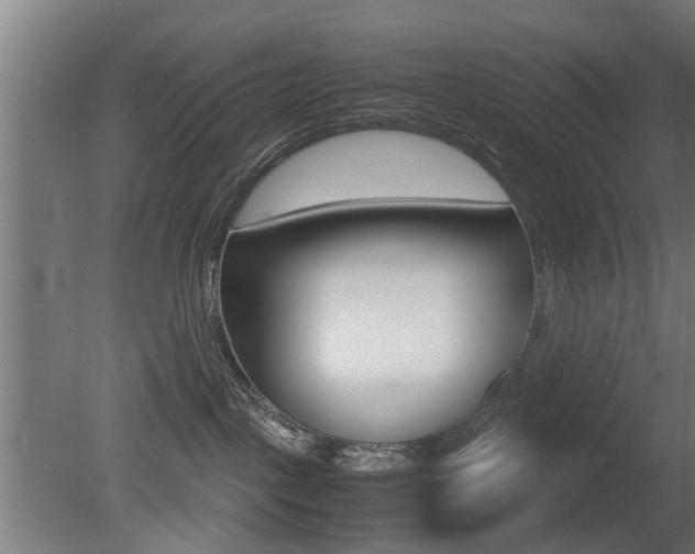 X0000081270093200701110919