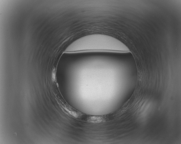 X0000081270095200701110919