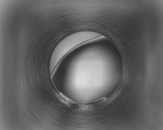X0000081270096200701110919