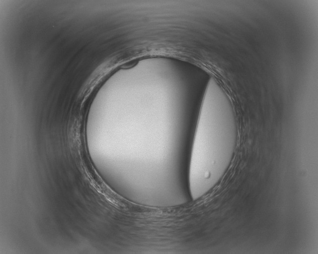 X0000081270098200701110918