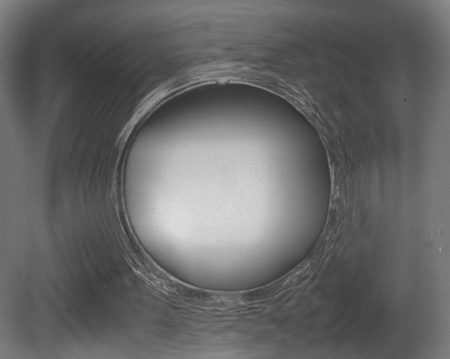 X0000081270099200701110918