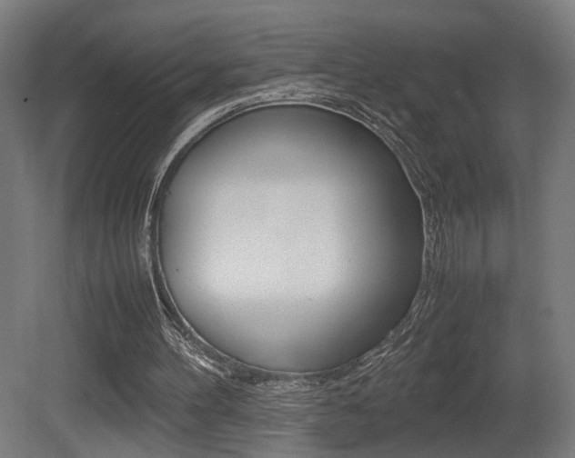 X0000081270100200701110918