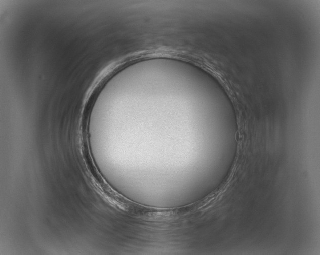 X0000081270102200701110918