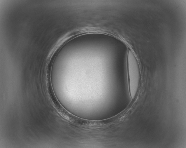 X0000081270103200701110918