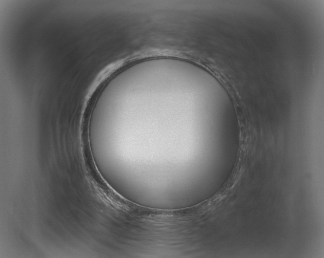 X0000081270104200701110918