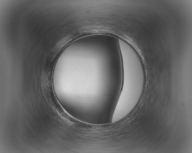 X0000081270105200701110918