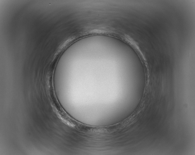 X0000081270106200701110918