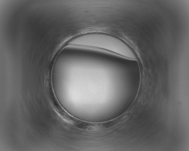 X0000081270107200701110918