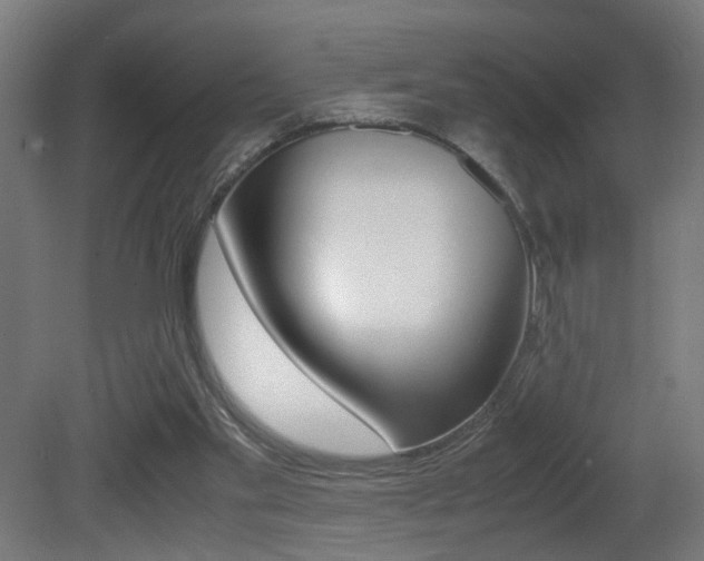 X0000081270109200701110918