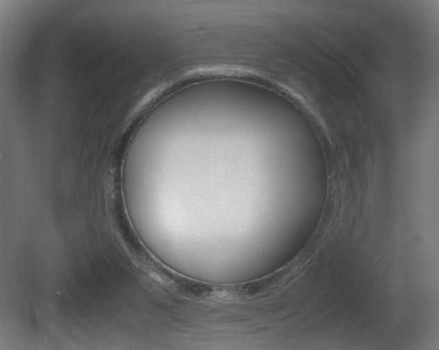 X0000081270111200701110918
