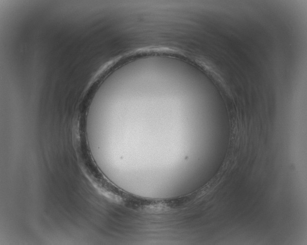X0000081270112200701110918