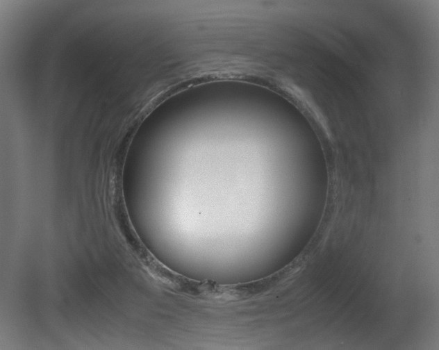 X0000081270113200701110918