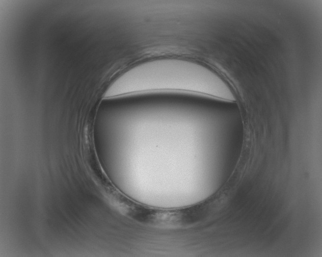 X0000081270117200701110918