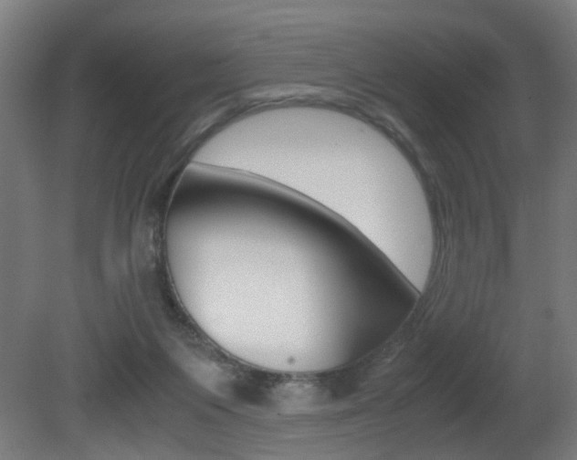 X0000081270119200701110918