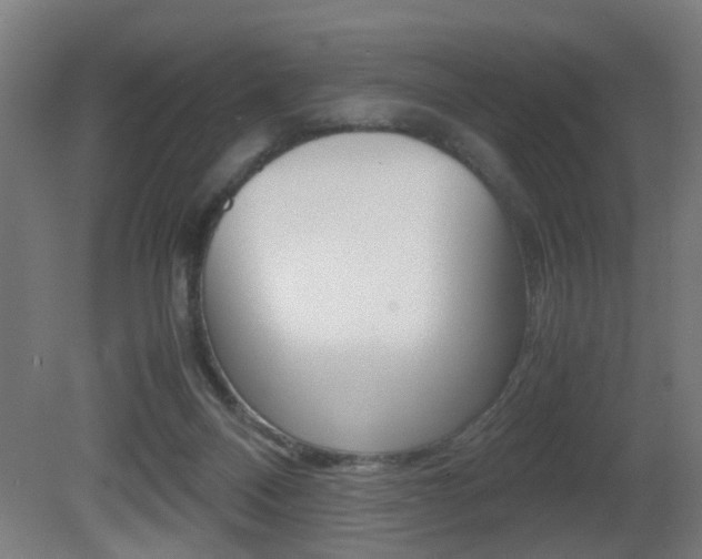 X0000081270120200701110918