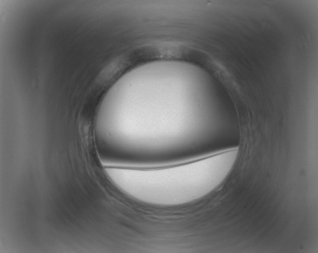 X0000081270123200701110918