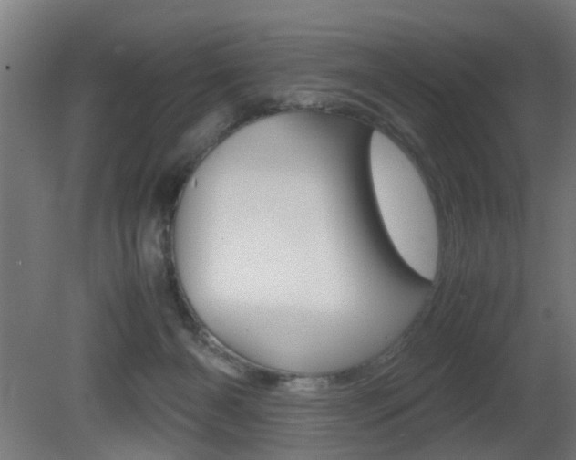 X0000081270126200701110918