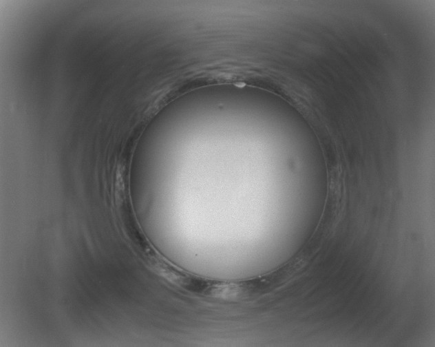 X0000081270127200701110918