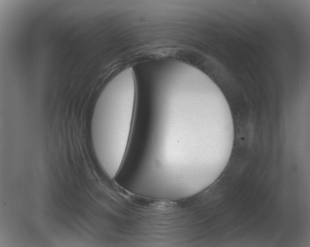 X0000081270128200701110918