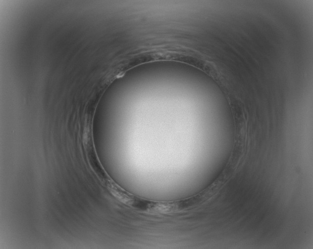 X0000081270129200701110918