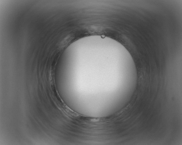 X0000081270130200701110918