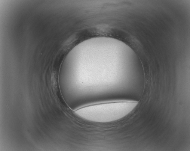 X0000081270131200701110918