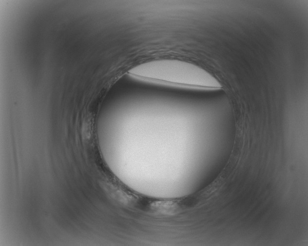 X0000081270133200701110918