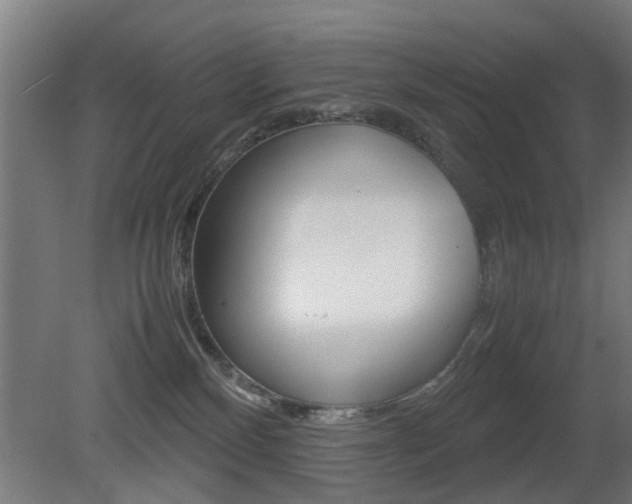 X0000081270136200701110918