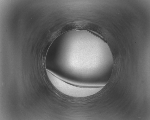 X0000081270137200701110918