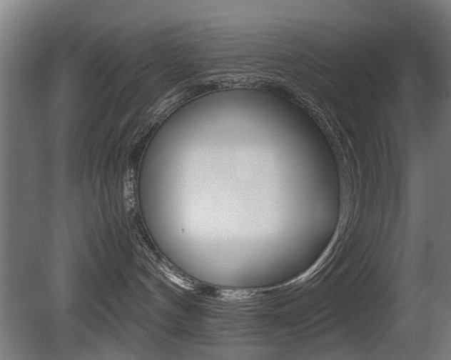 X0000081270144200701110917